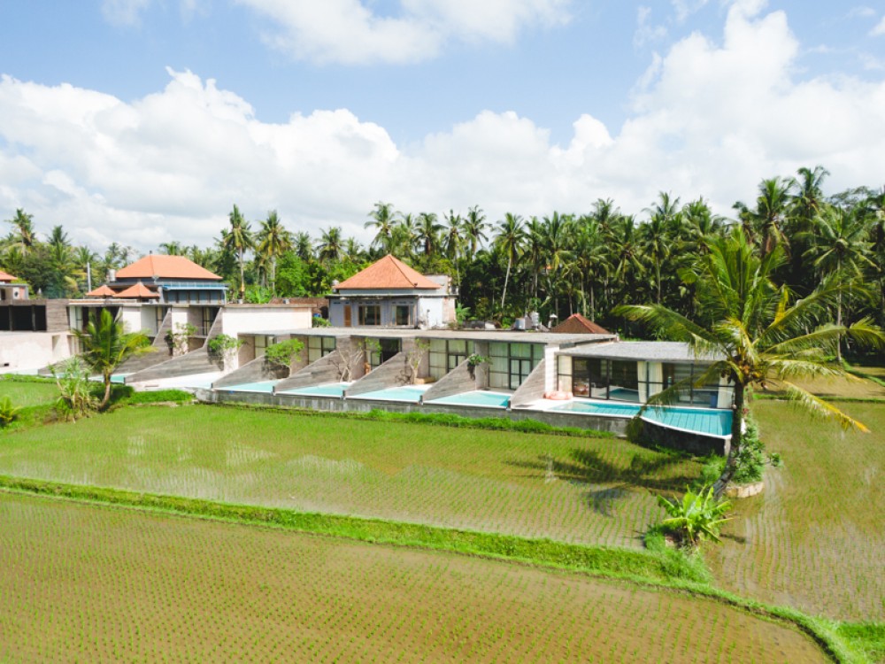 Amazing Brand New Resort with Best Investment for Sale in Ubud