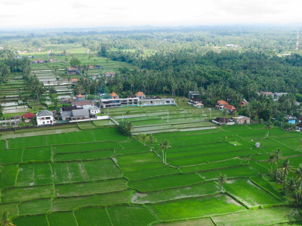 Amazing Brand New Resort avec le meilleur investissement à vendre à Ubud