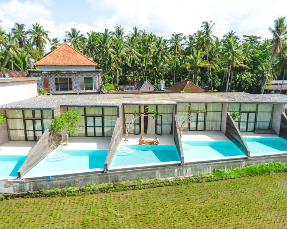 Amazing Brand New Resort avec le meilleur investissement à vendre à Ubud