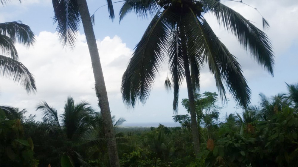 Spacious Land with Ocean View for Sale in Balian