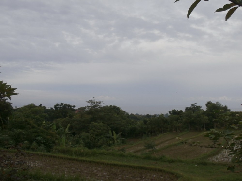 Reduced Price Amazing Landscape Land in North Bali for Sale