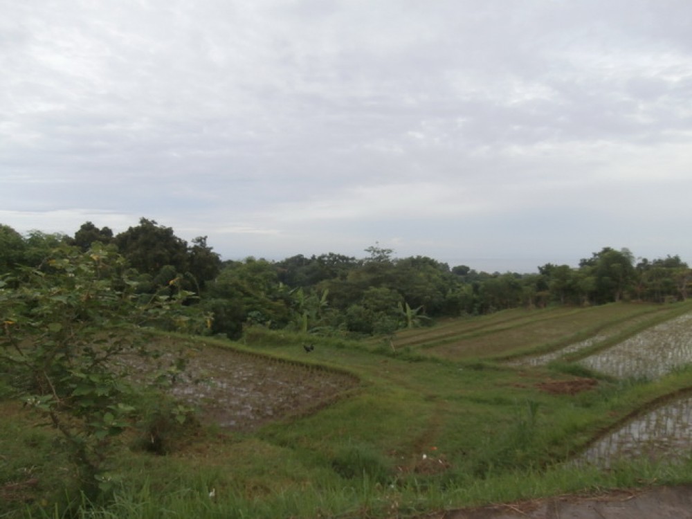 Reduced Price Amazing Landscape Land in North Bali for Sale