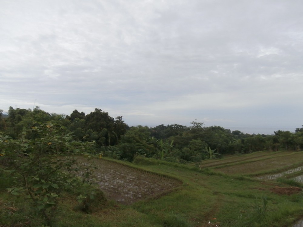 Reduced Price Amazing Landscape Land in North Bali for Sale