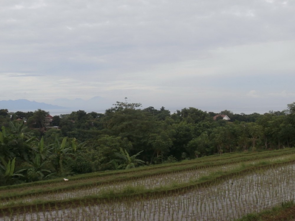 Reduced Price Amazing Landscape Land in North Bali for Sale