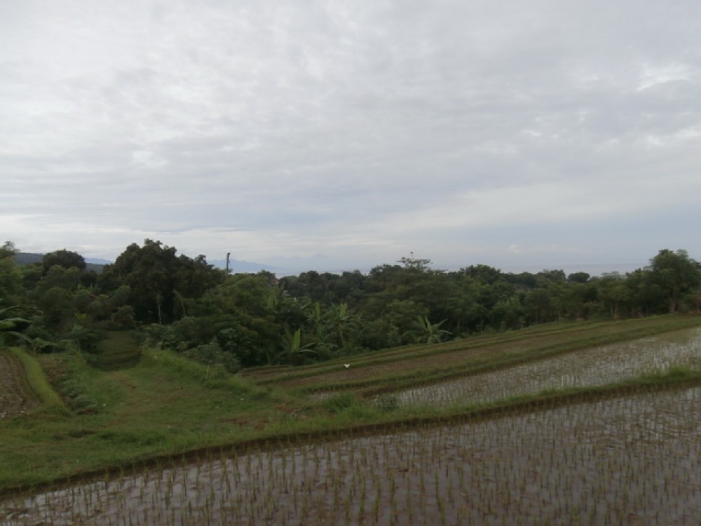 Reduced Price Amazing Landscape Land in North Bali for Sale