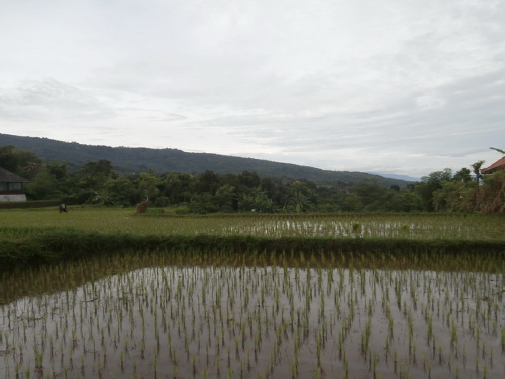 Reduced Price Amazing Landscape Land in North Bali for Sale