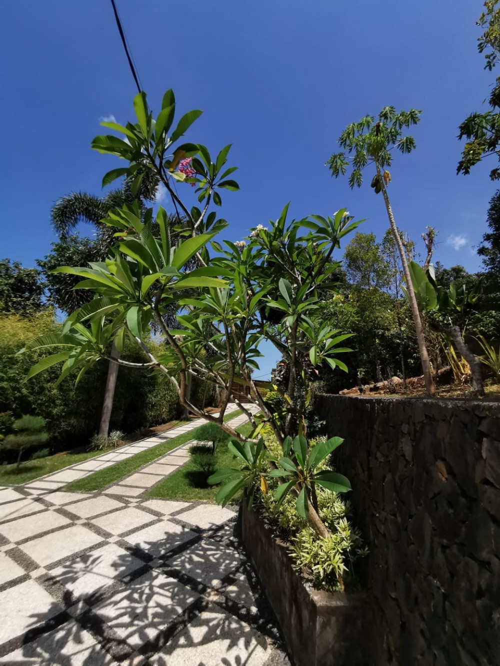 Fantastique vue sur l'océan avec un terrain spacieux à vendre à Lovina