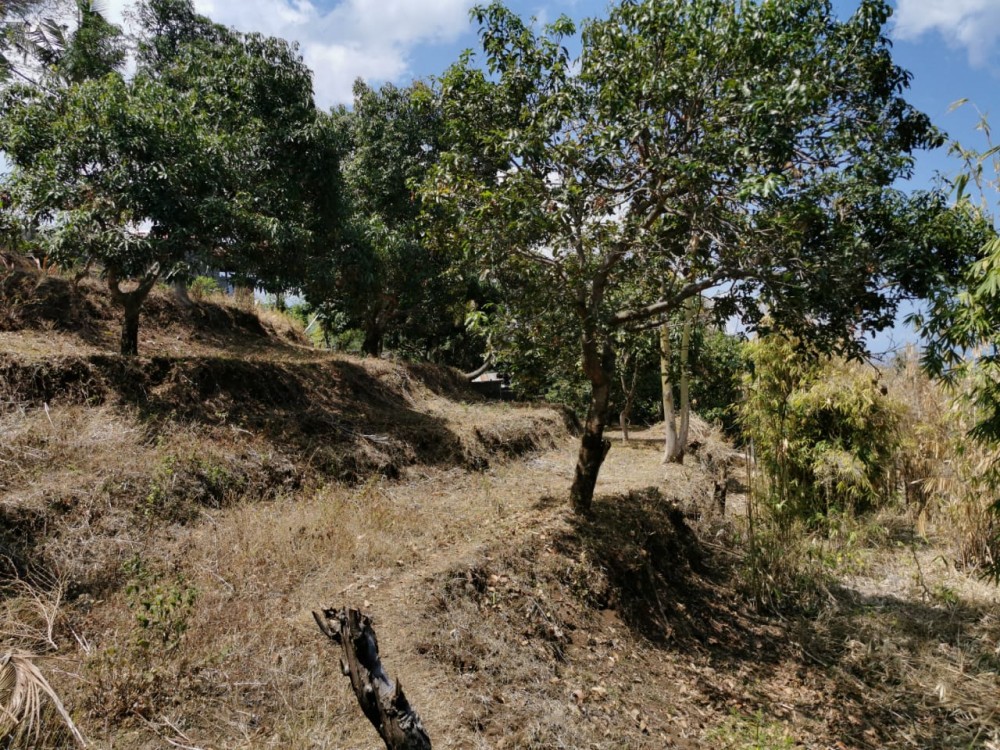 Fantastique vue sur l'océan avec un terrain spacieux à vendre à Lovina