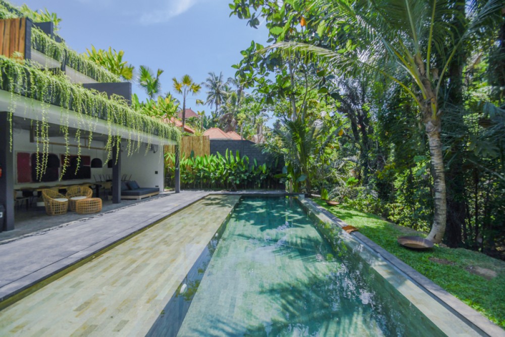 Magnifique hôtel neuf de six chambres à vendre à Ubud