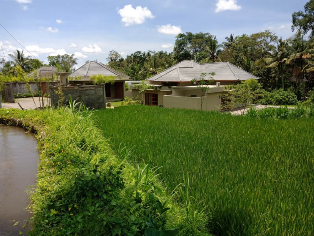 Villa relaxante avec rizières à vendre à Gianyar