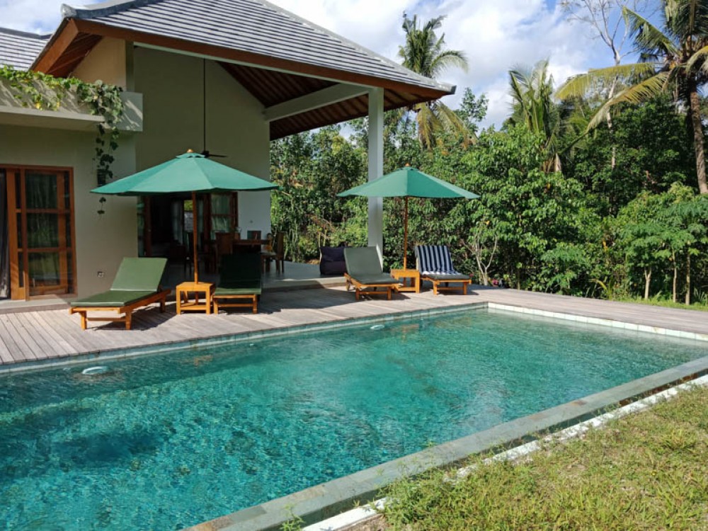 Relaxing Villa with Rice Paddies View for Sale in Gianyar