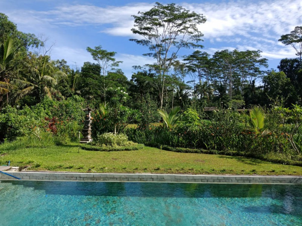 Relaxing Villa with Rice Paddies View for Sale in Gianyar
