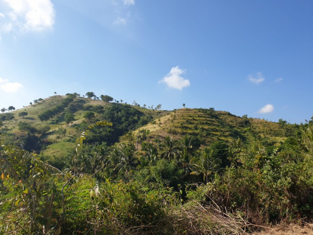 Spacious Land with Mountain View for Sale in Lombok