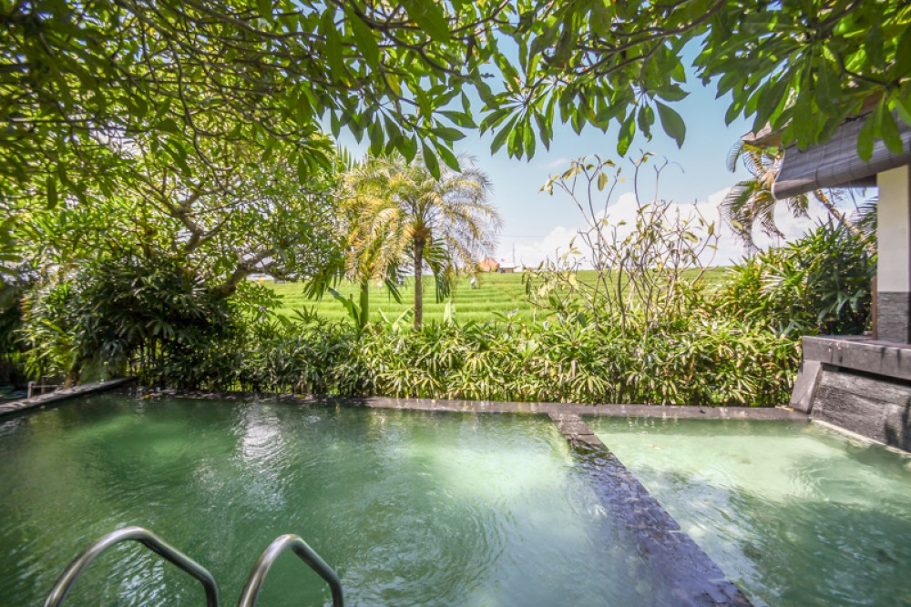 Unobstructed Rice Field View Villa for Sale in Echo Beach