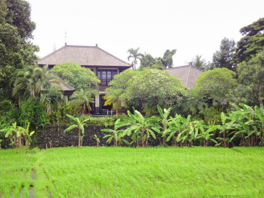 Villa Pemandangan Sawah yang Tidak Terobosan Dijual di Pantai Echo