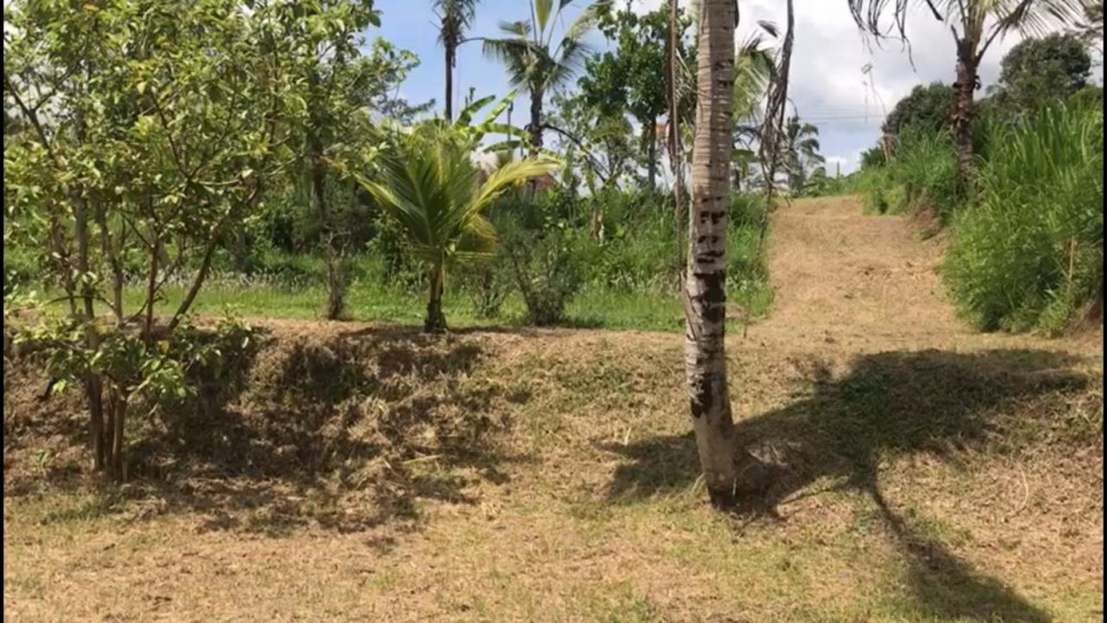 Un cadre magnifique pour cette terre en toute propriété