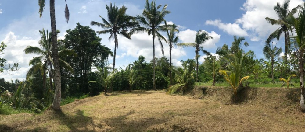 Lingkungan yang indah untuk tanah hak milik ini