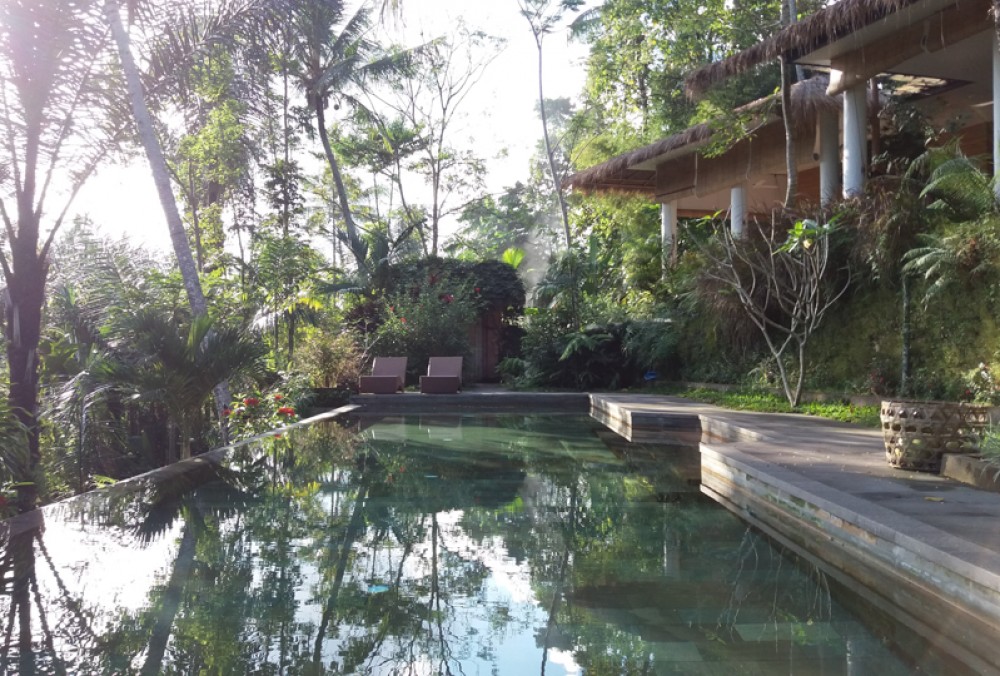 Amazing Deal Freehold Villa for Sale in Ubud