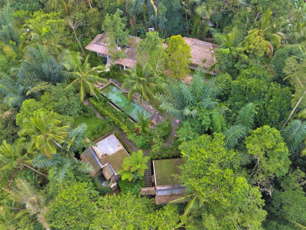 Amazing Deal Freehold Villa for Sale in Ubud