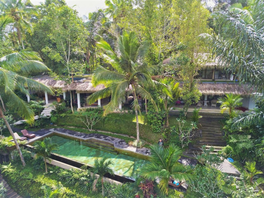 Penawaran Luar Biasa Freehold Villa Dijual di Ubud