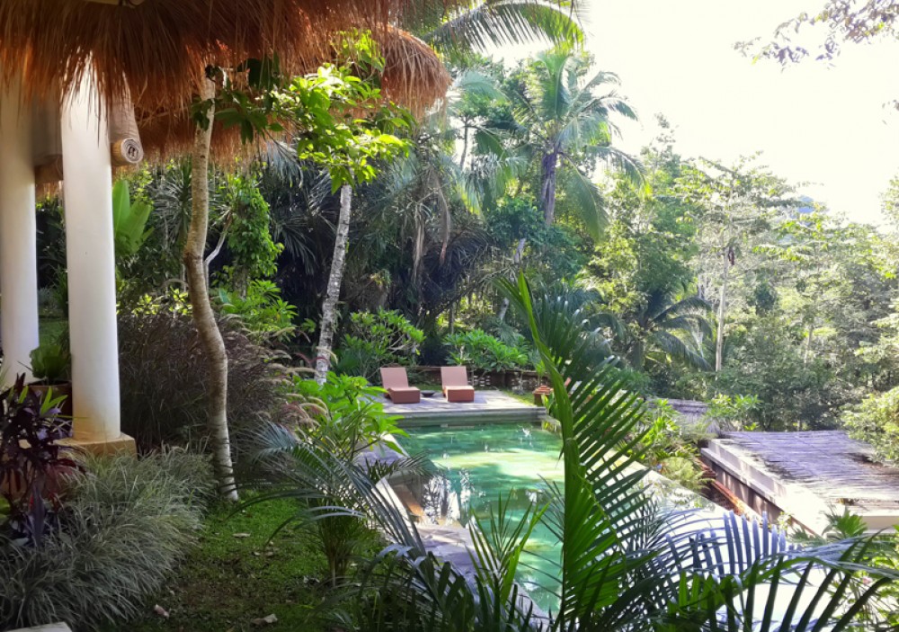 Amazing Deal Freehold Villa for Sale in Ubud