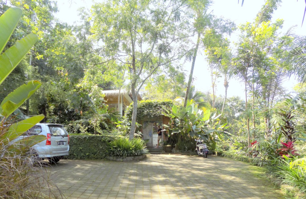 Amazing Deal Freehold Villa for Sale in Ubud