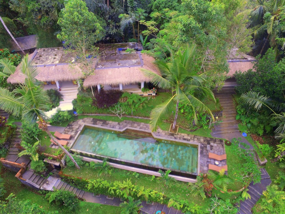 Amazing Deal Freehold Villa for Sale in Ubud