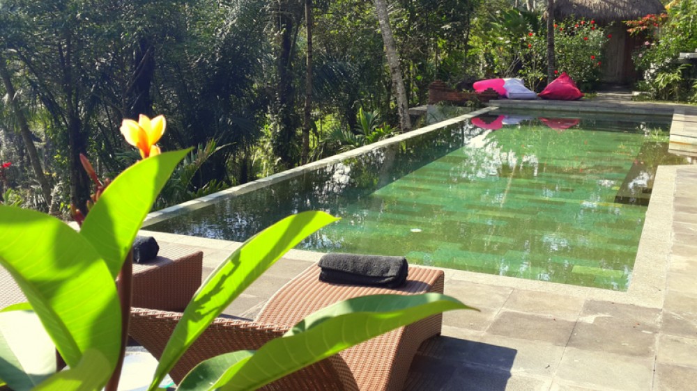Penawaran Luar Biasa Freehold Villa Dijual di Ubud
