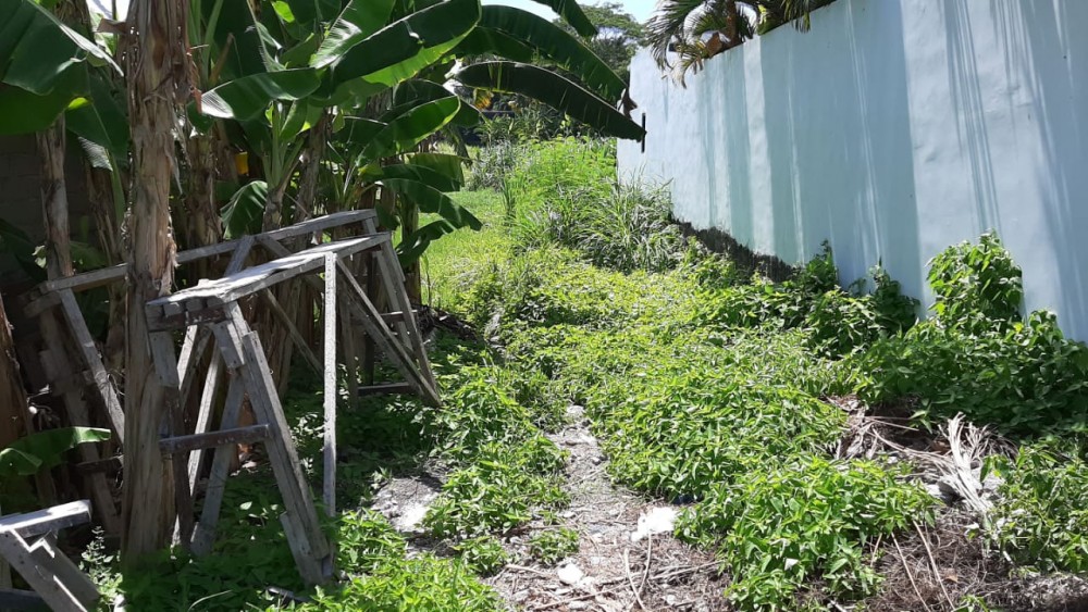 Lokasi Bagus Tanah disewa di Berawa