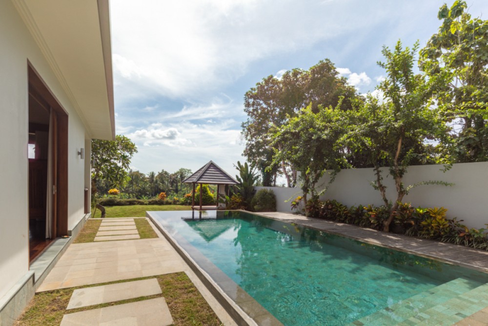 Amazing Modern Villa with Rice Paddies View for Sale in Ubud