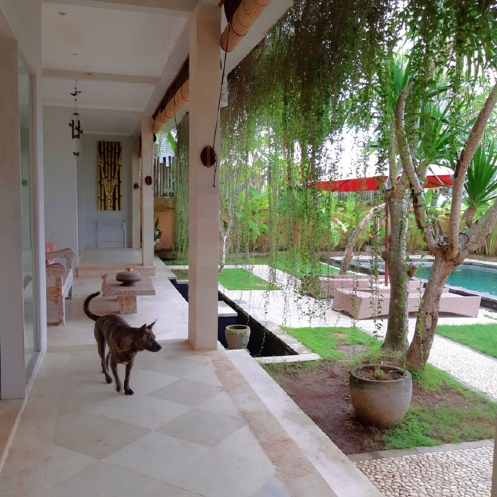 Charming 2 Bedroom Villa for Sale in Tabanan