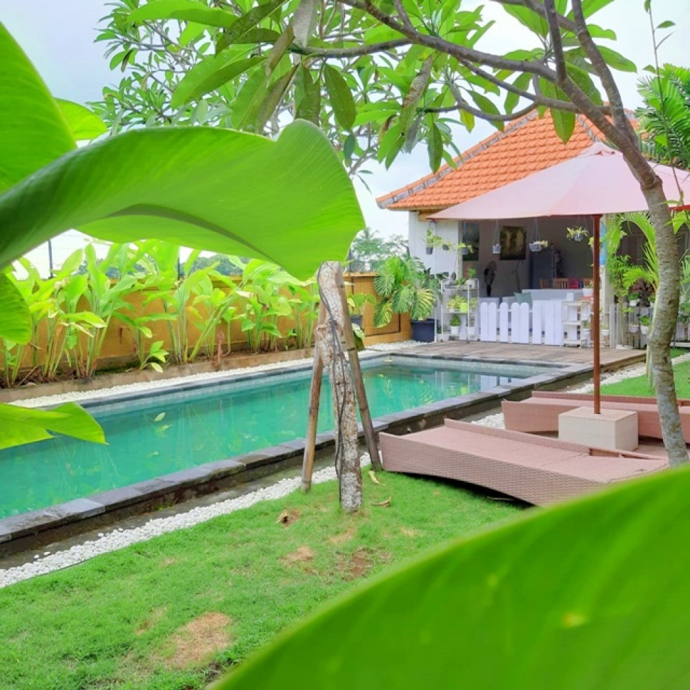 Villa 2 Kamar Tidur yang menawan untuk Dijual di Tabanan