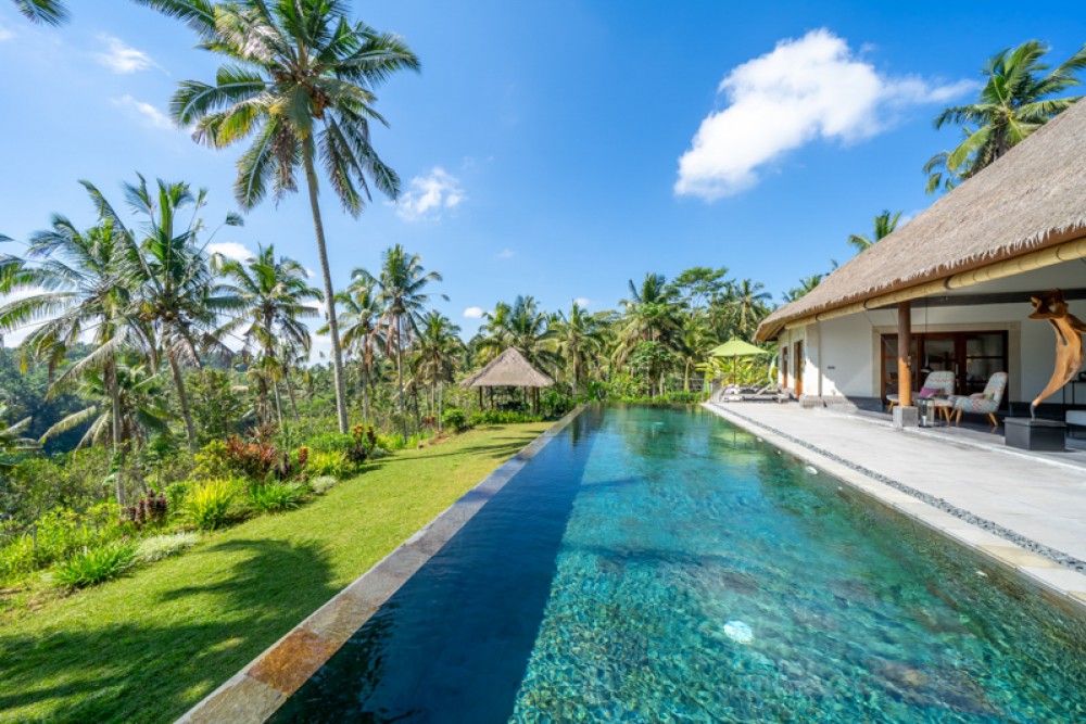 Villa Pribadi Santai yang Menakjubkan dengan Pemandangan Hutan Dijual di Ubud