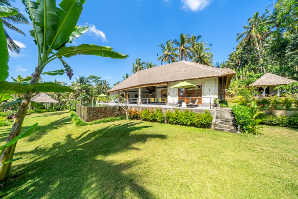 Villa Pribadi Santai yang Menakjubkan dengan Pemandangan Hutan Dijual di Ubud