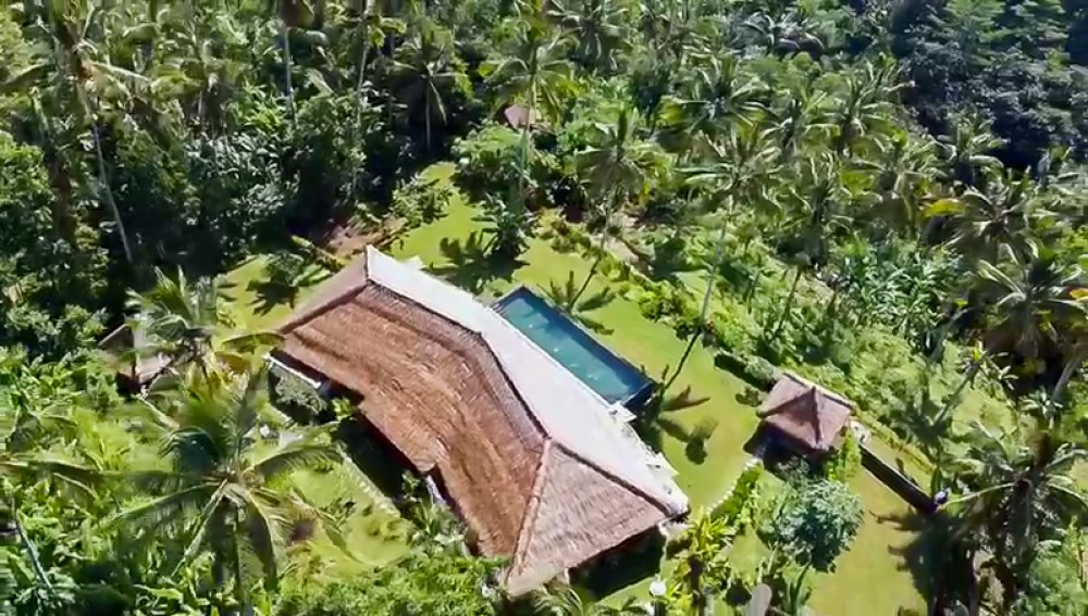 Villa Pribadi Santai yang Menakjubkan dengan Pemandangan Hutan Dijual di Ubud