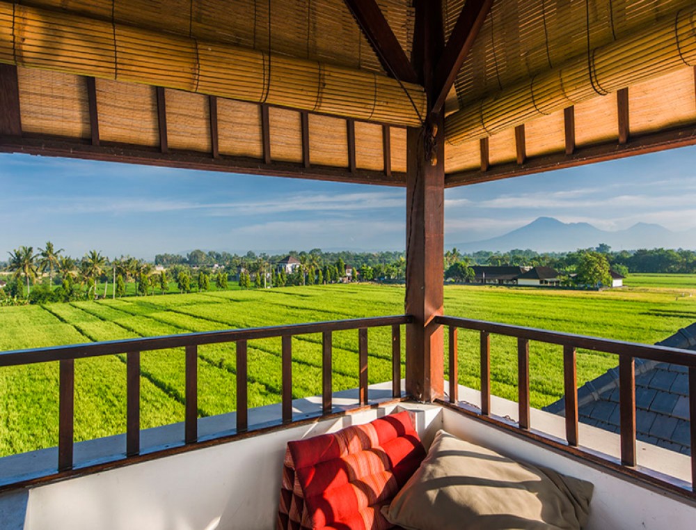 Meilleur rapport qualité-prix Freehold Villa avec rizières vue à vendre à Kedungu