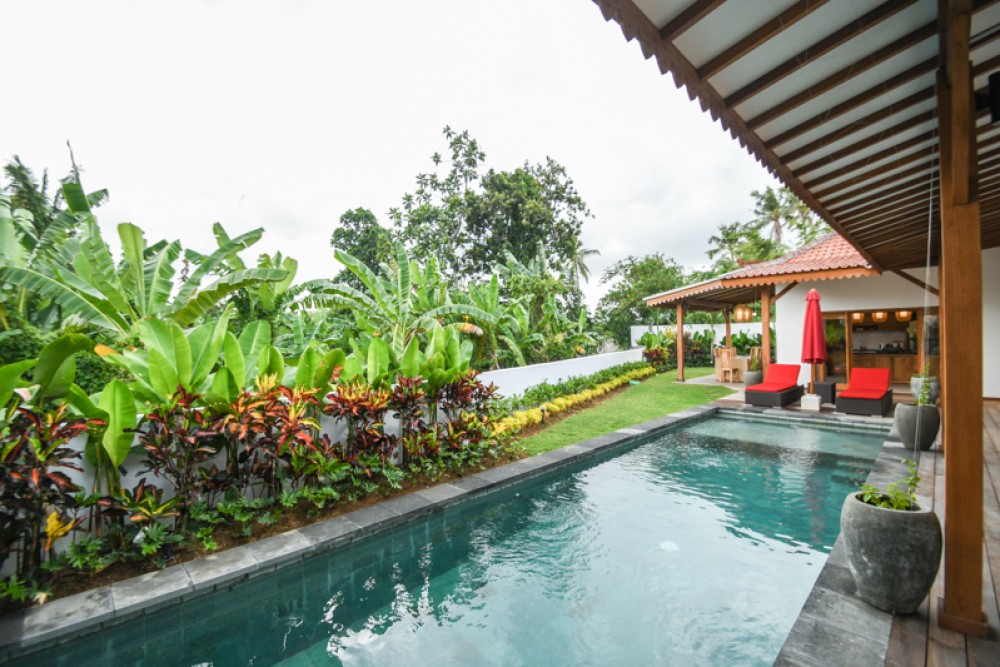 Brand New and Best Value Villa for Sale in Canggu