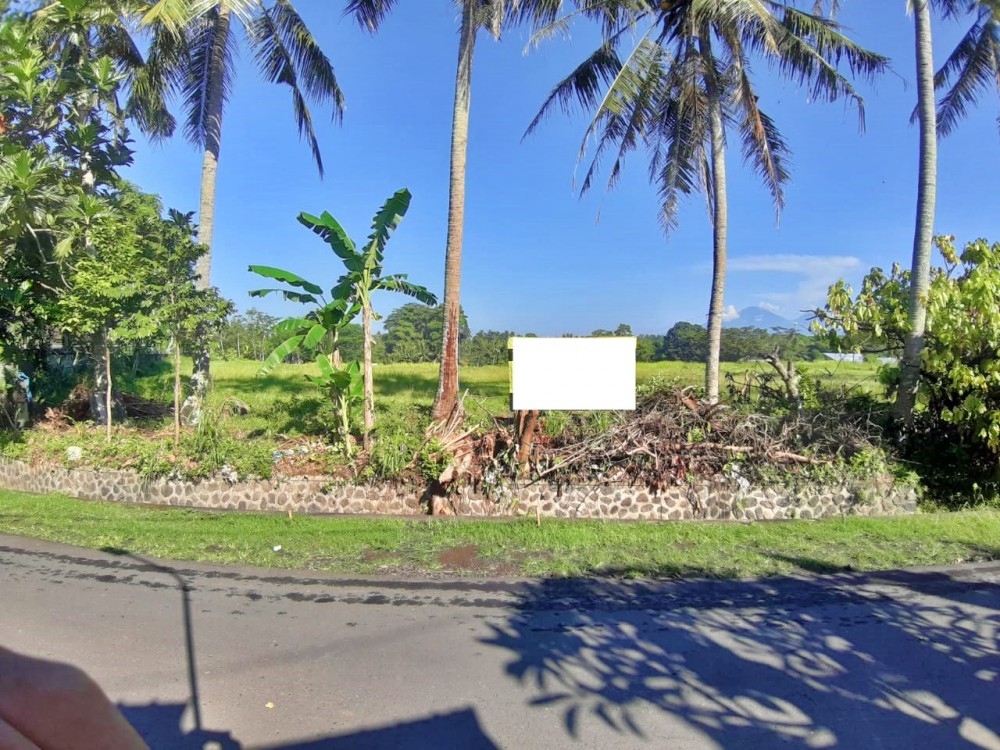 Beautiful Land Perfect for Development in Mengwi for Sale