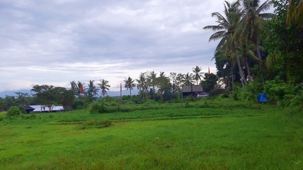 Tanah Cantik Sempurna di Mengwi untuk Pengembangan Dijual