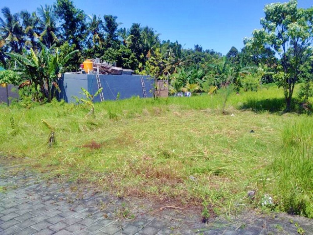 Beautiful Freehold Small Plot in Tanah Lot for Sale