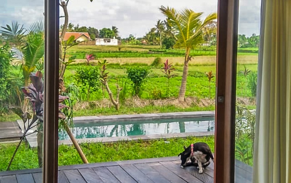 Villa Tiga Kamar Tidur Konsep Berkelanjutan dijual di Ubud