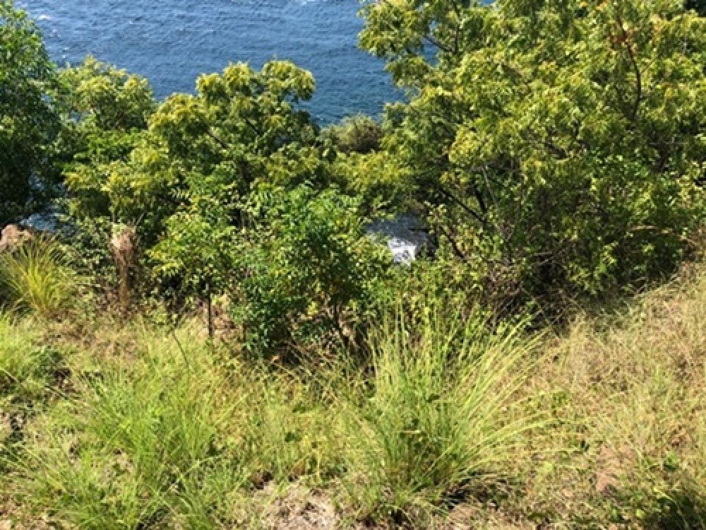 Cliff Top Land avec vue imprenable à Karangasem à vendre