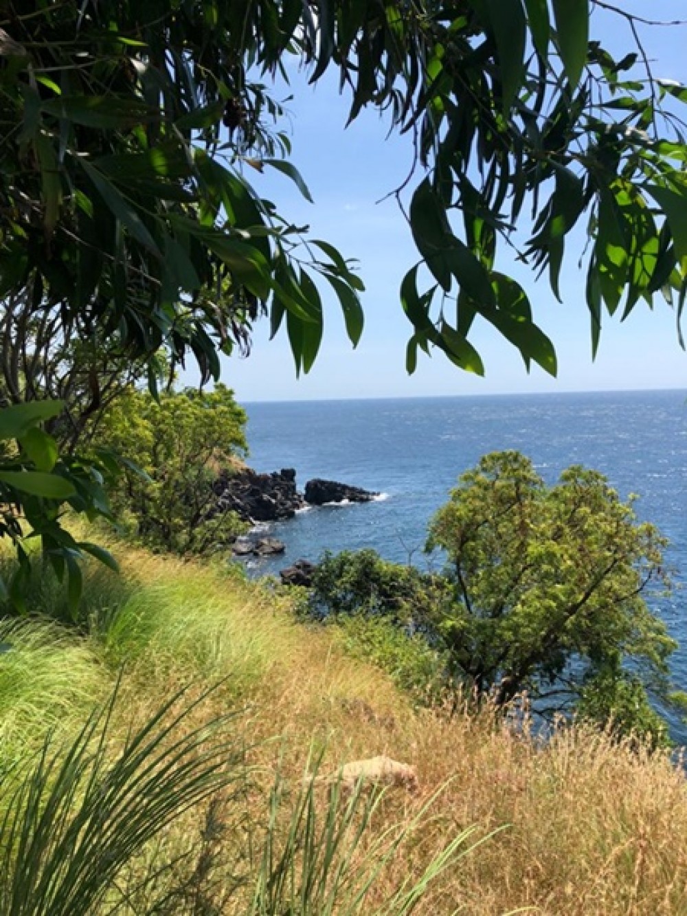 Cliff Top Land with Breathtaking View in Karangasem for Sale 