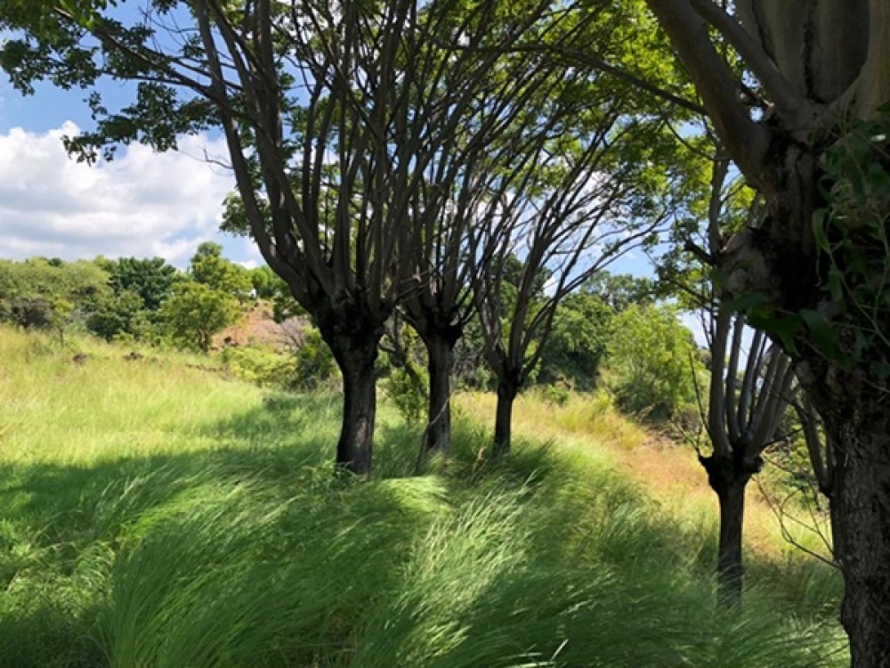 Cliff Top Land avec vue imprenable à Karangasem à vendre