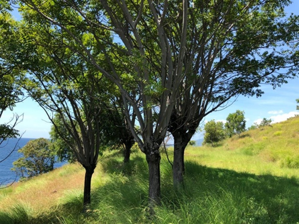 Cliff Top Land avec vue imprenable à Karangasem à vendre