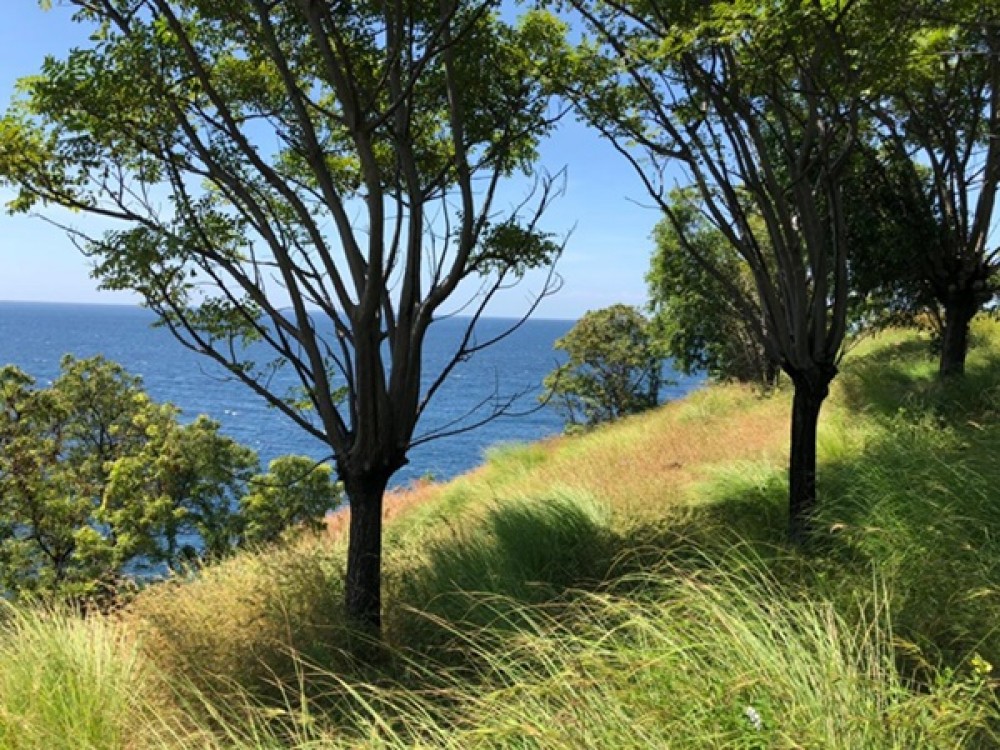 Cliff Top Land with Breathtaking View in Karangasem for Sale 