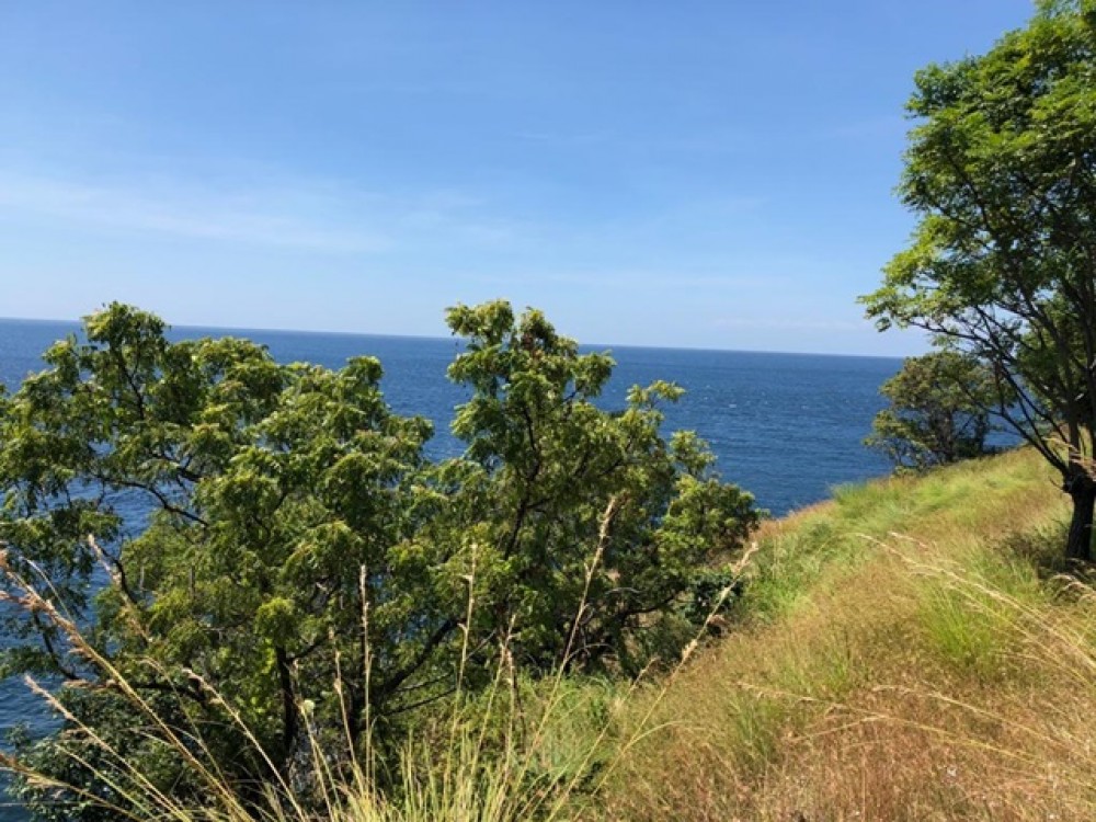 Cliff Top Land with Breathtaking View in Karangasem for Sale 