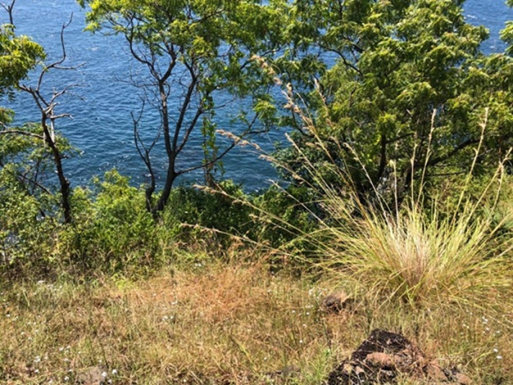 Cliff Top Land with Breathtaking View in Karangasem for Sale 