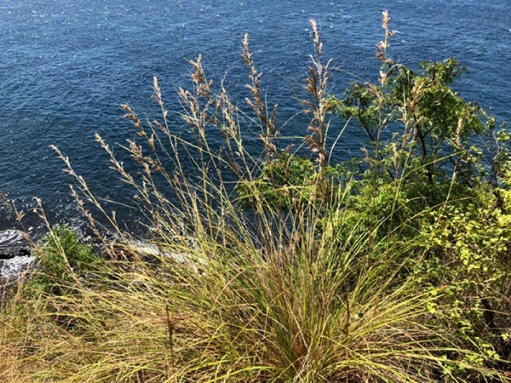 Cliff Top Land avec vue imprenable à Karangasem à vendre