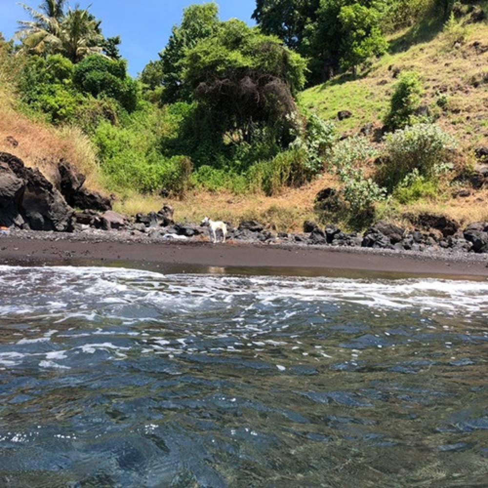 Cliff Top Land avec vue imprenable à Karangasem à vendre